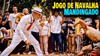 Roda de Capoeira na Praça da República 3 de Março de 2024 São Paulo Brasil Mestres Ananias Joel