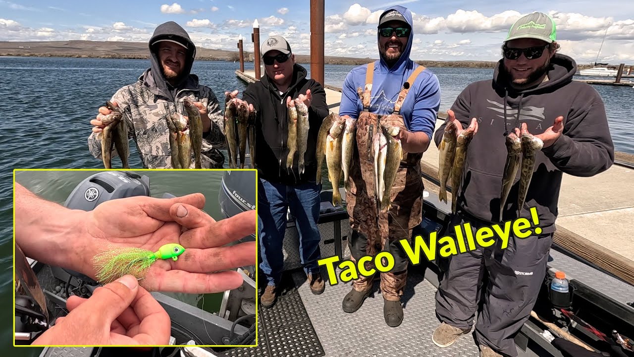 West Kootenay Fishing Report: Columbia River - walleye express - Trail Times