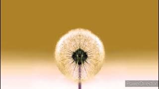 over the horizon-samsung Galaxy S3 in Low voice