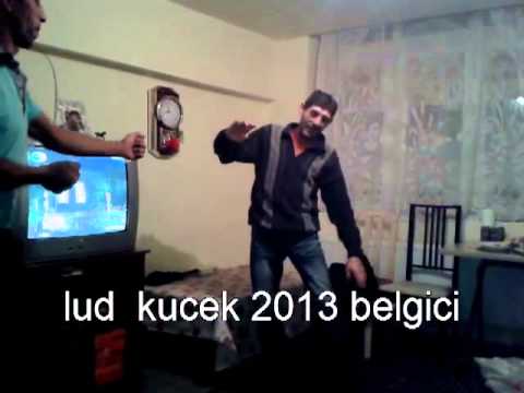 lud kucek 2013 - belgici