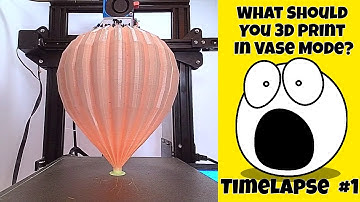 If I Could Only 3D Print 1 Thing | 3D Printing Time Lapse On Ender 3 Pro Vase Mode