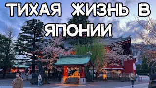 ЯПОНИЯ БЕЗ ТРЕНДОВОЙ МУЗЫКИ | туристические места и звуки шумной жизни Токио / Asakusa Skytree влог