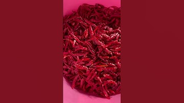 Chilli for export from india 8087087424