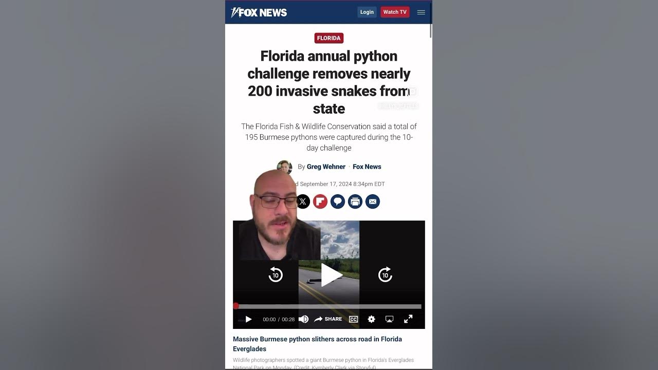 Reptiles in the news 9 18 2024 python roundup in florida removes