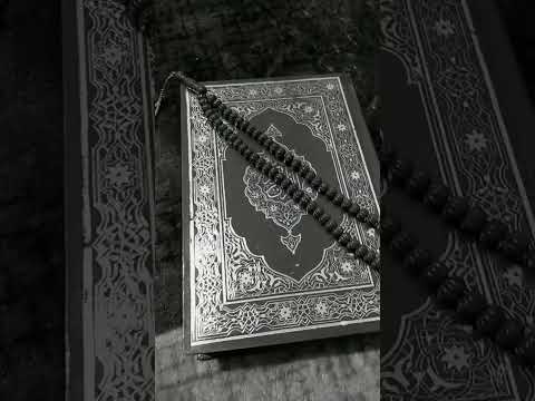 انا بقولك اهو اللي معندوش بنات يبقى مخلفش الشيخ جمال عطالله