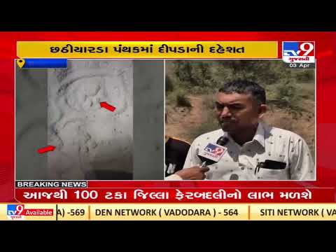 Mehsana: Villagers left terror-stricken after leopard's foot prints spotted in Chhathiyarda| TV9News