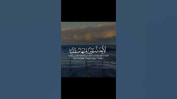 سورة الكهف ناصر القطامي