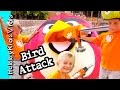 Angry Birds + Red Bird Home Depot Toy Tools Behind and Cut Scenes HobbyKidsVids Angry Birds + Red Bird Home Depot Toy Tools Behind and Cut Scenes HobbyKidsVids