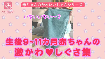 月齢別 激かわ赤ちゃんの特徴 いないいないばあ 喃語も 生後9 11カ月赤ちゃんのかわいいしぐさ集 Mp3