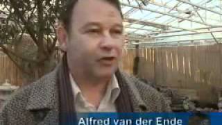 Download Lagu Remember in Green video MP3