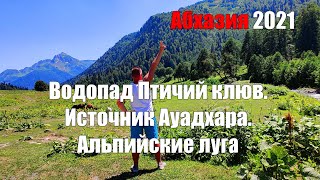 Водопад Птичий клюв. Минеральный источник Ауадхара. Альпийские луга. Абхазия 2021