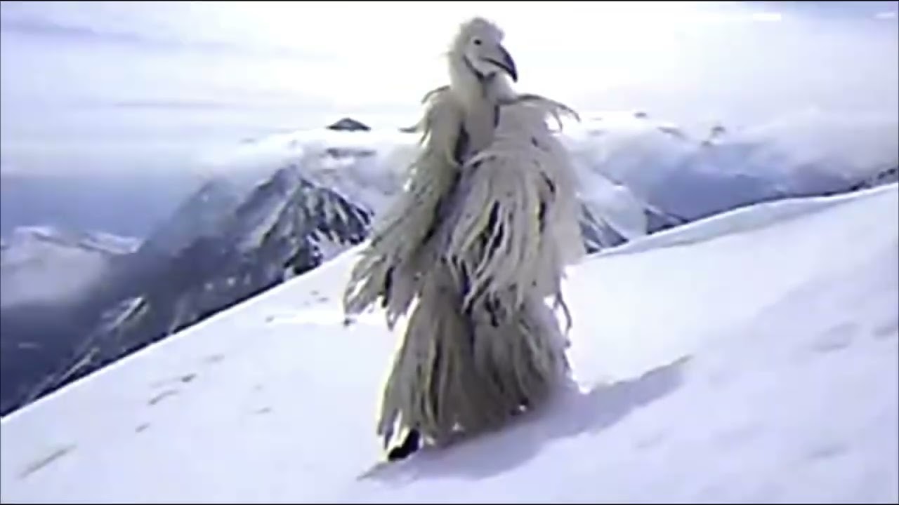 {FREE}High on speed of light-Opium bird type beat