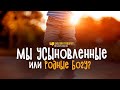 Мы усыновленные или родные Богу? | "Библия говорит" | 1204