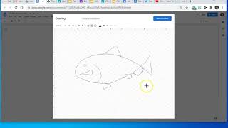 Drawing a fish