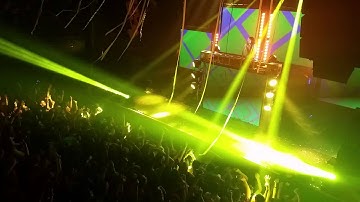 Steve Aoki lion king