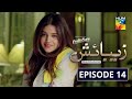 Zebaish | Episode 14 | Digitally Powered by PediaSure | HUM TV | Drama | 11 September 2020