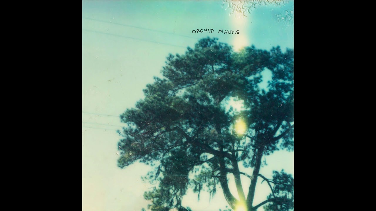 Watch Orchid Mantis - Never Know Why on YouTube Watch Orchid Mantis - Never Know Why on YouTube