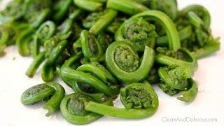 Fiddlehead Ferns 101 - Everything You Need to Know Fiddlehead Ferns 101 - Everything You Need to Know