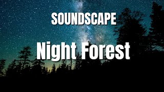 Night Forest sounds ~ Sleep Study Relax