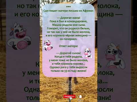 'Когда молока не было... но рога появились!' 😂🐮