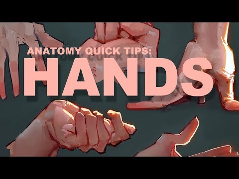 Anatomy Quick Tips Hands