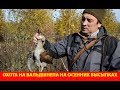 Охота на вальдшнепа на осенних высыпках. Где искать вальдшнепиные высыпки.