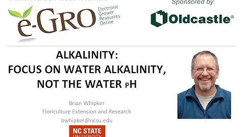 Alkalinity: Focus on the Water Alkalinity, Not the Water pH
