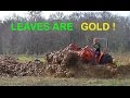 Building Healthy Organic Garden Soil 101 & Farming: Receiving My Fall Leaves composting Material