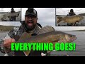 Walleye, Carp, and Pike, oh MY!! | Ned Rigs catch EVERTHING!