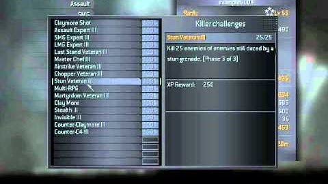 Call of duty 4 Rank hack(PC only) All versions