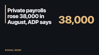 Private payrolls rose 38,000 in August, ADP says