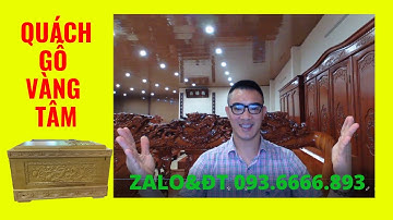 Gỗ vàng tâm và tính chất | quách gỗ vàng tâm có tốt không ?