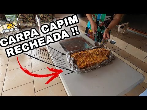 Vídeo: Como Rechear Carpa