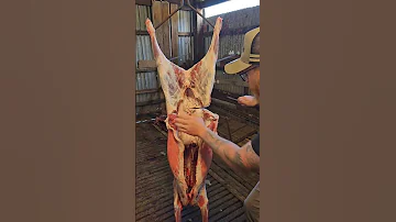 Starting Point In The Shed Meat Butcher Carnivore Jarrydthebutcher Lambs Farmbutcher Redmeat 