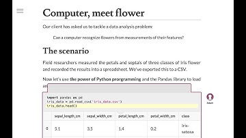 Livebook // realtime collaborative live coding Python notebook
