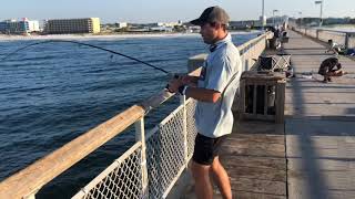 The Wild Bearing: Fishing the Destin Pier