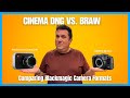 Cinema DNG Vs BRAW Comparing Camera Formats Cinema DNG Vs BRAW Comparing Camera Formats