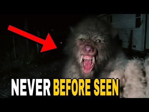 Impossible Creature Sightings Are Getting Closer to Homes