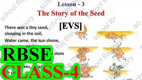 The Story Of The Seed | Class 4 EVS Lesson 3 | RBSE | Question Answers | For English Medium #rbse