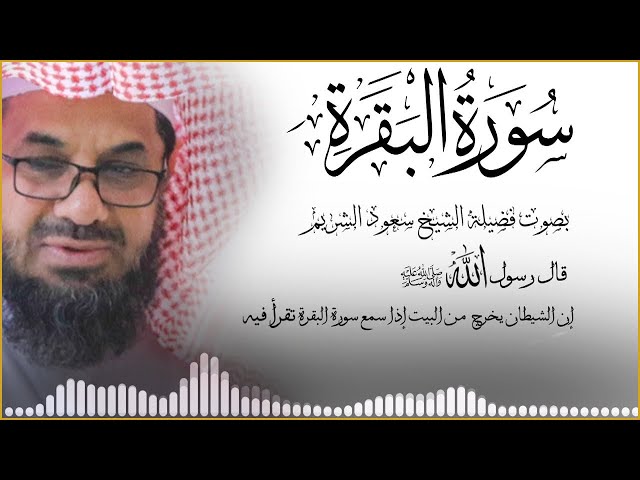 سورة البقرة كاملة بدون اعلانات فضيلة الشيخ سعود الشريم surah baqarah saud shuraim class=