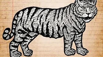Extinct Tigers Song Extinct Tigers Song