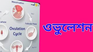 ডিম্বাণু বের হওয়ার লক্ষণ গুলো কি কি,