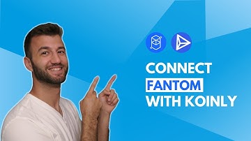 How To Do Your Fantom Crypto Tax FAST With Koinly