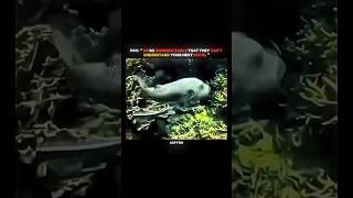 “ Be so unpredictable that they can't read your next move. "