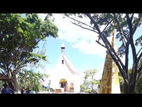 Mensagem Feliz Dia Da Aliança De AMOR - TERÇO DOS HOMENS