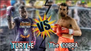 Skilled boxers fight in a backyard Brawl