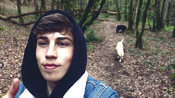 ʀɪᴠᴇʀ ᴅᴏɢ ᴡᴀʟᴋs.ᴍᴘ𝟺