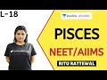 L18: Pisces | Animal Kingdom | Pre-medical - NEET/AIIMS | Ritu Rattewal