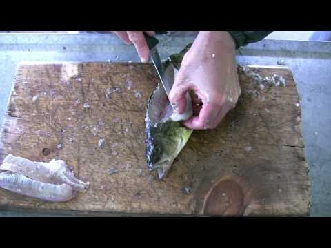 Perch Cleaning - Two Fast Boneless Methods to Fillet Perch