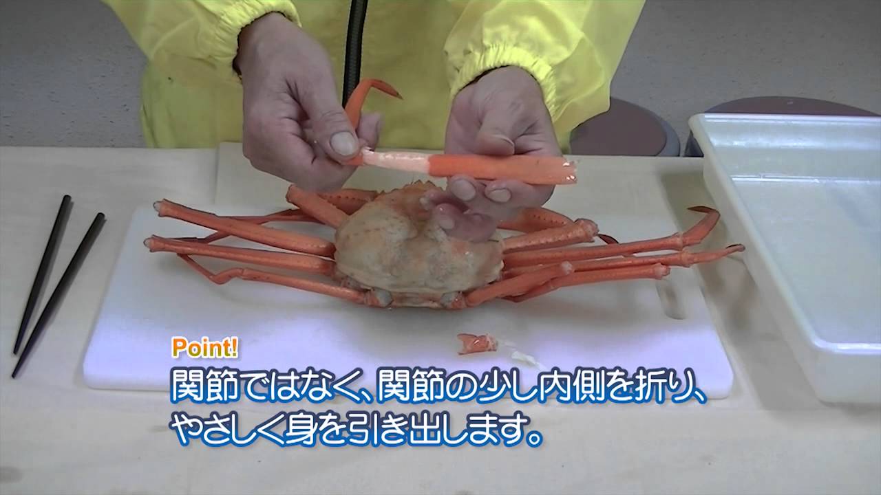 ベニズワイガニの上手な食べ方 魚を上手に食べるコツ うまさ一番 富山のさかな